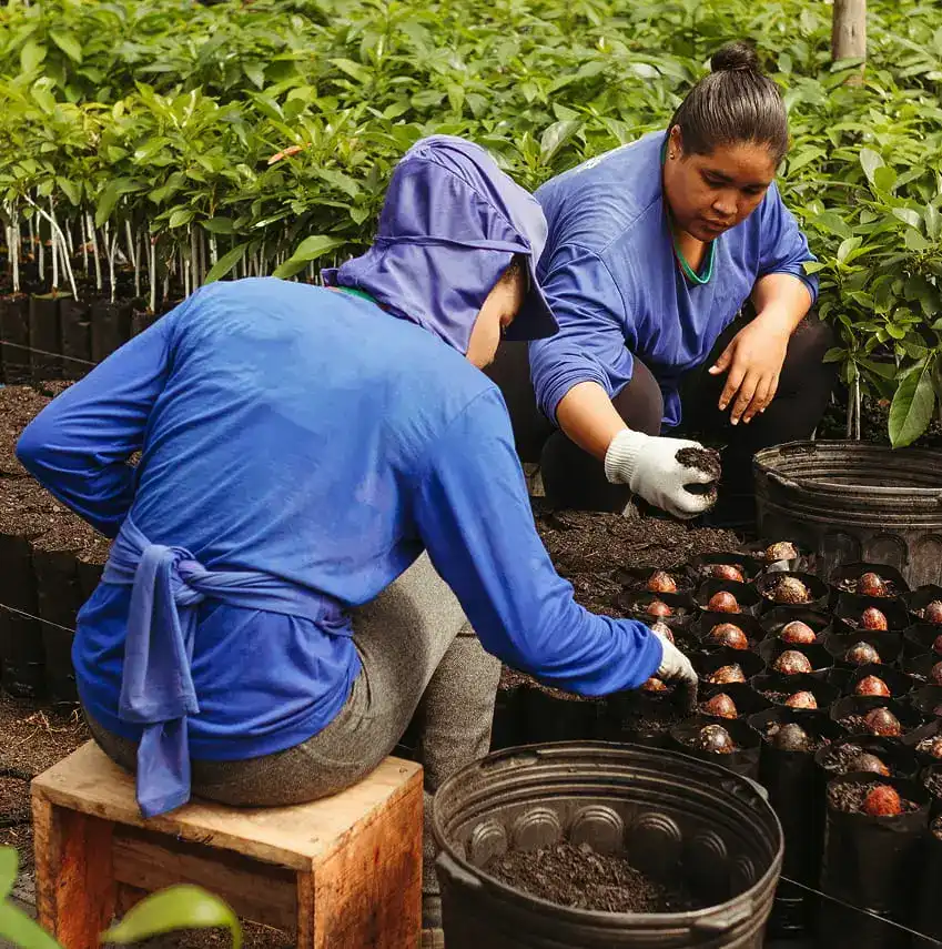 Destination Plan Image