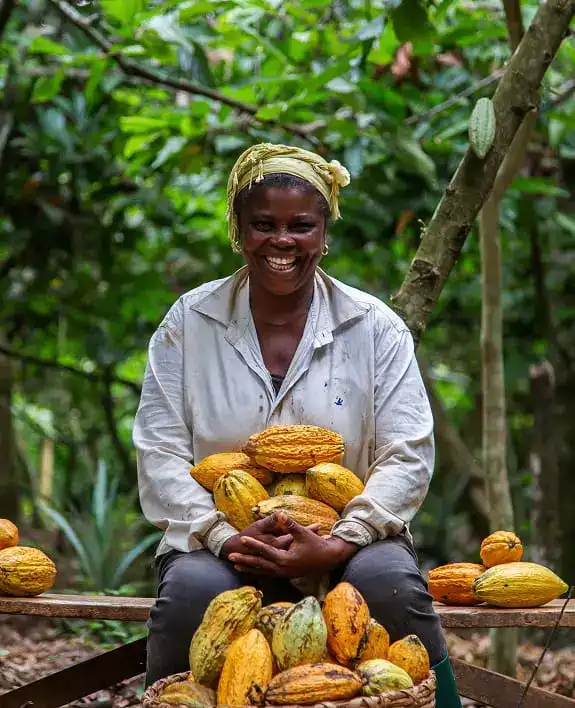 Real Estate Partner Image