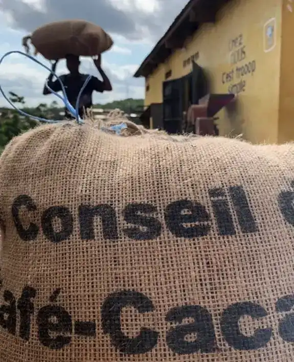 Real Estate Partner Image